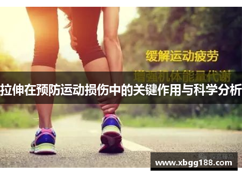 拉伸在预防运动损伤中的关键作用与科学分析
