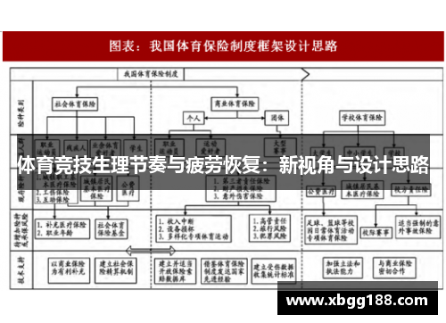 体育竞技生理节奏与疲劳恢复：新视角与设计思路