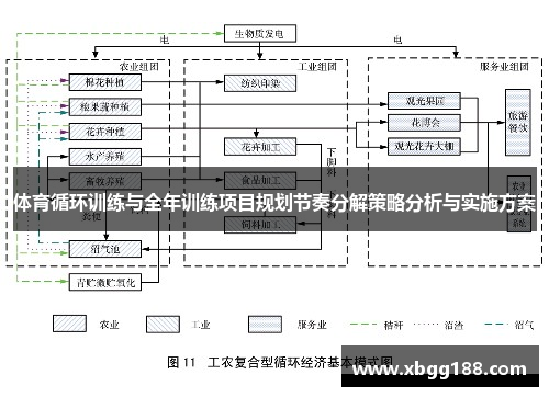 体育循环训练与全年训练项目规划节奏分解策略分析与实施方案